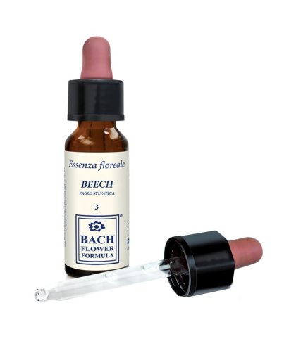 BEECH ORIGINAL 10ML GTT