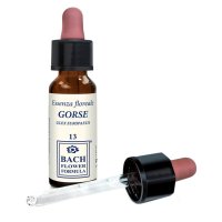 GORSE ORIGINAL 10ML GTT