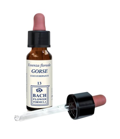 GORSE ORIGINAL 10ML GTT