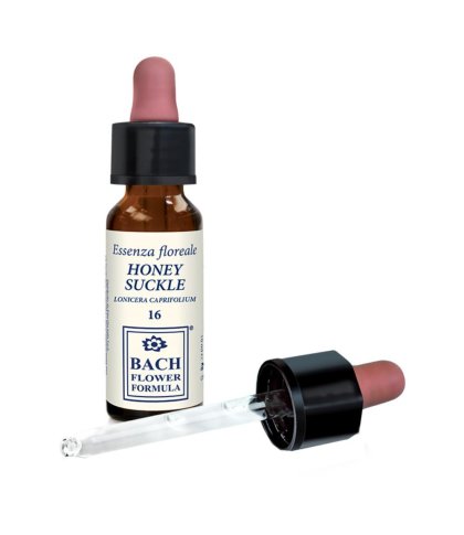 HONEYSUCKLE ORIGINAL 10ML GTT