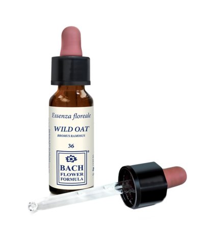 WILD OAT ORIGINAL 10ML GTT