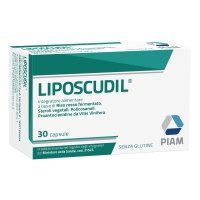 LIPOSCUDIL INTEGRAT 30CPS 13,3