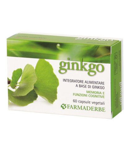 NUTRA GINKGO INTEGRAT 60CPS