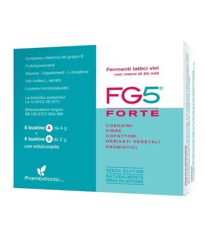 FG5 FORTE 6BUST