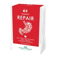 GSE REPAIR INTEGRAT 45CPR