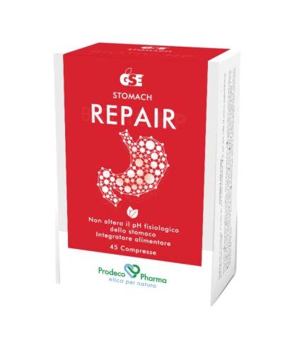 GSE REPAIR INTEGRAT 45CPR