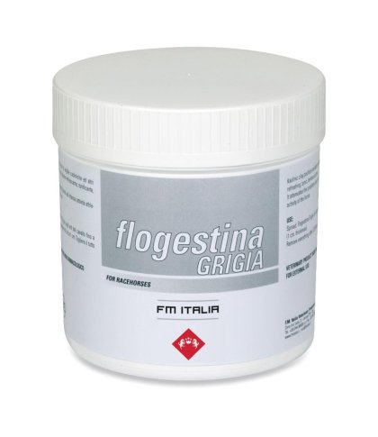 FLOGESTINA GRIGIA PASTA 1KG