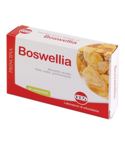 BOSWELLIA ESTR SEC 60CPR 24G K