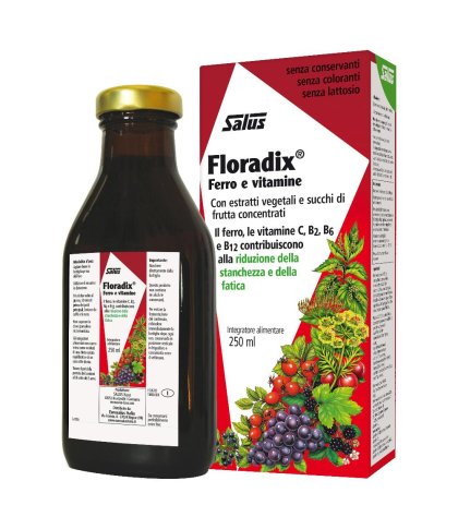 FLORADIX 250ML