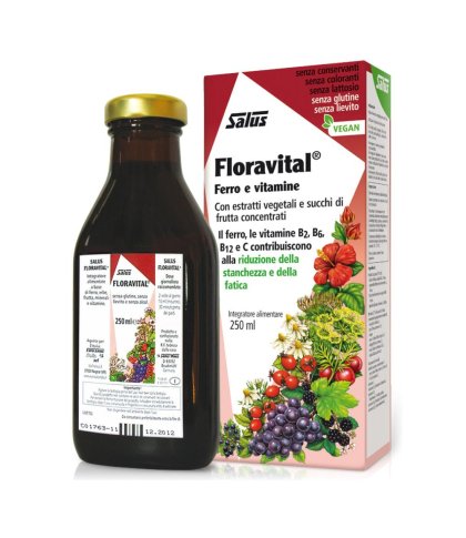 FLORAVITAL FERRO S/GLUT 250ML