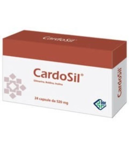 CARDOSIL 24CPS 500MG