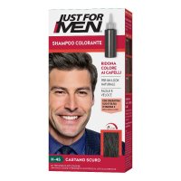 JUST FOR MEN SH COLOR H45 CAST