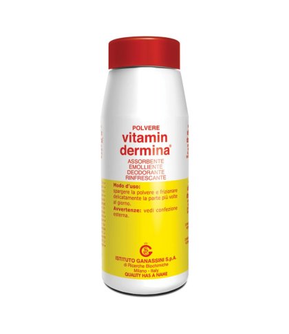 VITAMINDERMINA POLV 100G