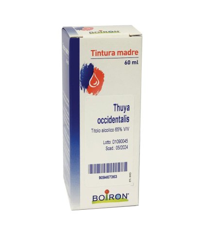 THUYA OCCIDENT 60ML TM