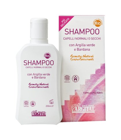 SHAMPOO CAP NORM/SECCHI 250ML