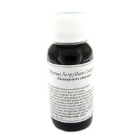 LVS 21N THYMUS SERPYLLUM COMP