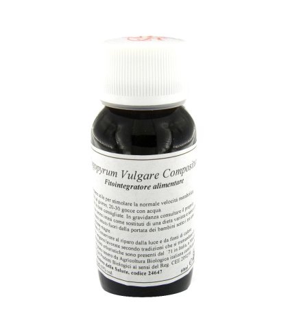 LVS 33S FAGOPYRUM VULGARE COMP