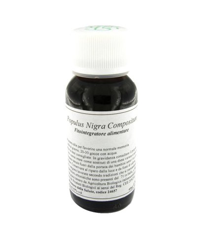 LVS 43N POPULUS NIGRA COMP