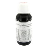 LVS 67S ECHINACEA PURPUREA COM