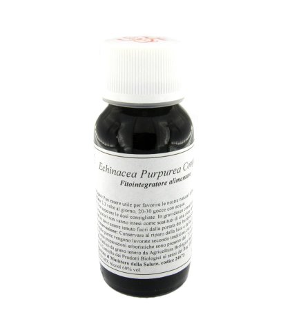 LVS 67S ECHINACEA PURPUREA COM