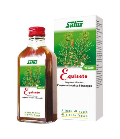 EQUISETO SUCCO S/ALC 200ML