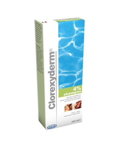 CLOREXYDERM SH 4% 250ML