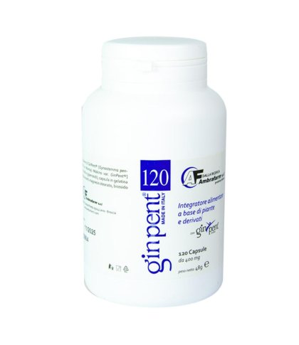 GINPENT 120CPS 400MG