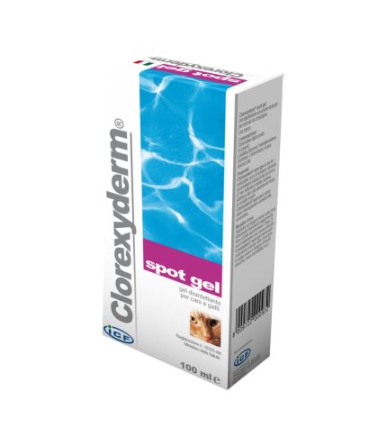 CLOREXYDERM SPOT GEL 100ML