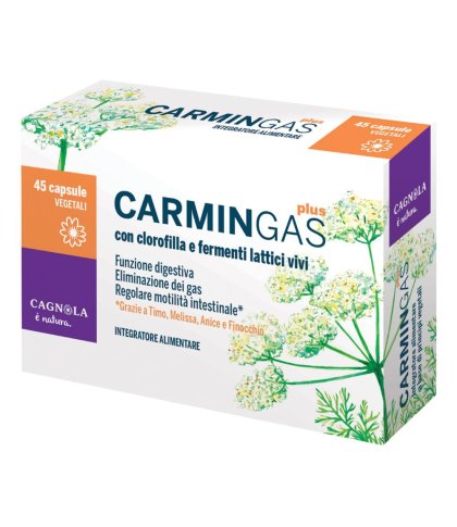 CARMIN GAS PLUS 40CPS