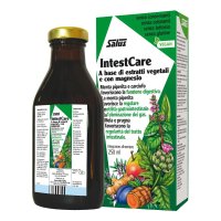 INTESTCARE LIQUIDO 250ML