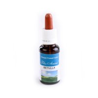 BETULLA RIMEDIO 20ML FLOSANIMI