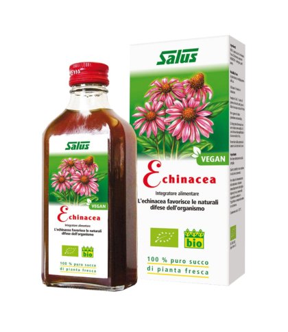 ECHINACEA SUCCO S/ALC 200ML