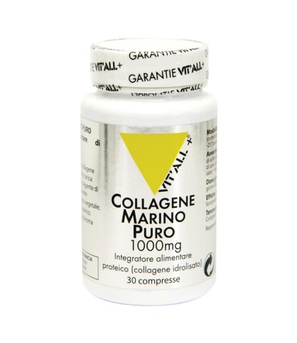 VITAL PLUS COLLAGENE MARINO PU