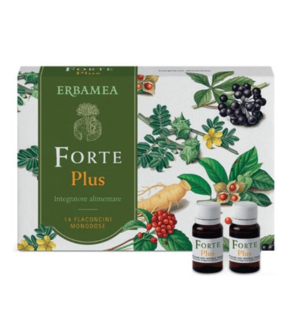 FORTE PLUS 14FL DA 10ML S/GL E