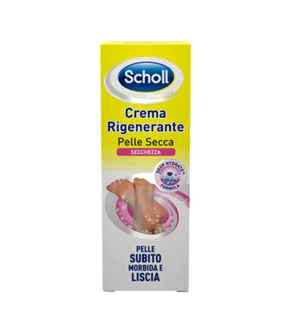 SCHOLL CR RIGEN P SEC PIEDI