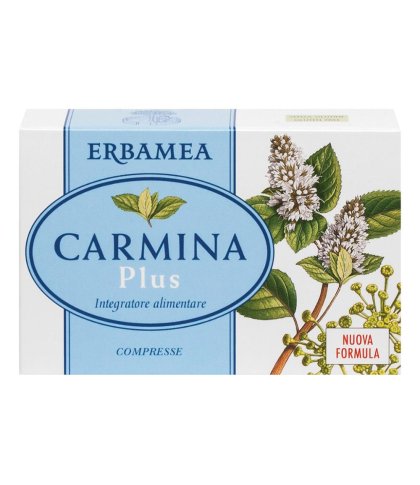 CARMINA PLUS 24CPR 19,2G