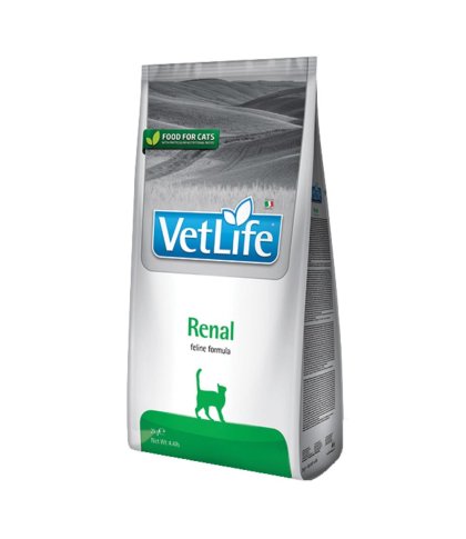 VET LIFE CAT RENAL 400 GR