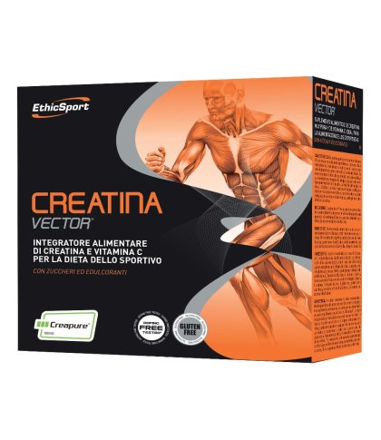 CREATINA VECTOR 20BUST 8G