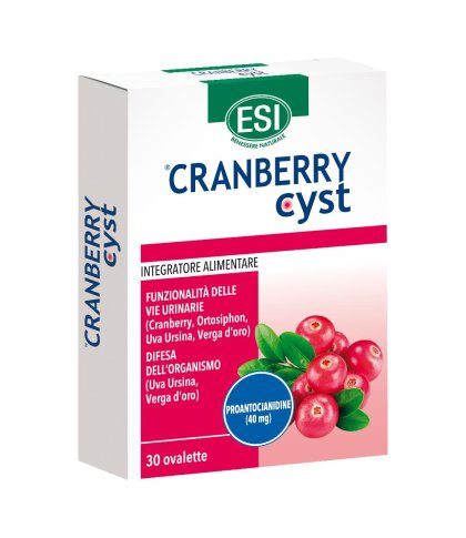 CRANBERRY CYST 30 OVALETTE