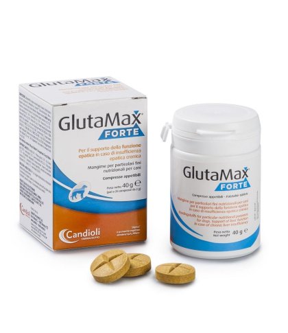 GLUTAMAX FORTE 20CPR