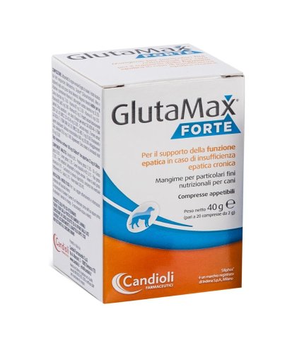 GLUTAMAX FORTE 40CPR