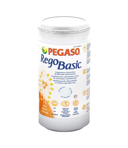 REGOBASIC POLVERE 250G