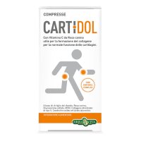 CARTIDOL COMPRESSE 45CPR ERBAV