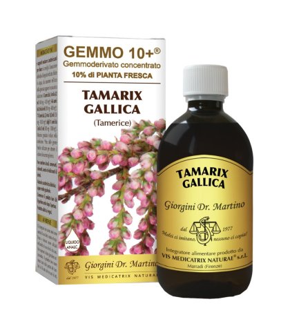 TAMERICE 500ML ANALCO GEMMO10+