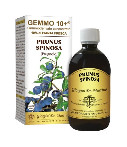 PRUGNOLO 500ML ANALCO GEMMO10+