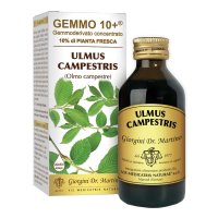 OLMO CAMP 100ML ANALCO GEM 10+