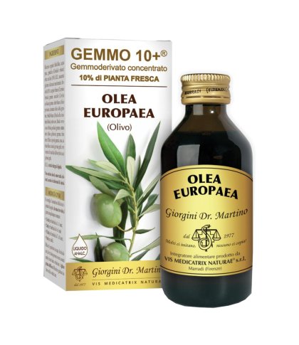 OLIVO 100ML ANALCO GEMMO 10+