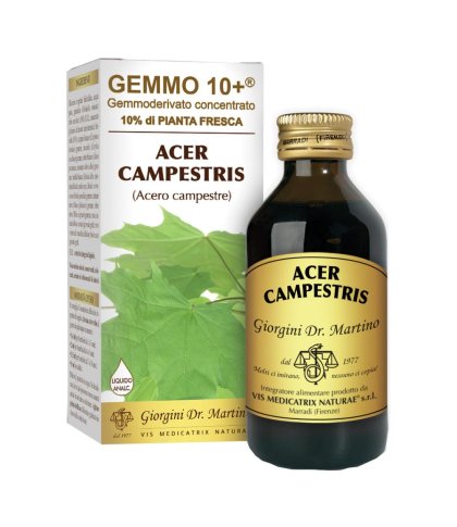 ACERO CAMP 100ML ANALCO GEM10+