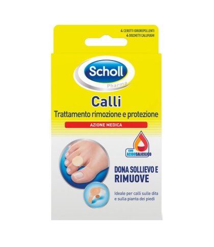 SCHOLL CER CALLIF TRATT R/PROT