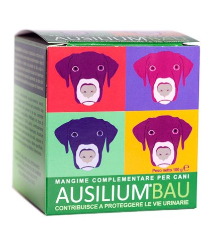 AUSILIUM BAU 100G